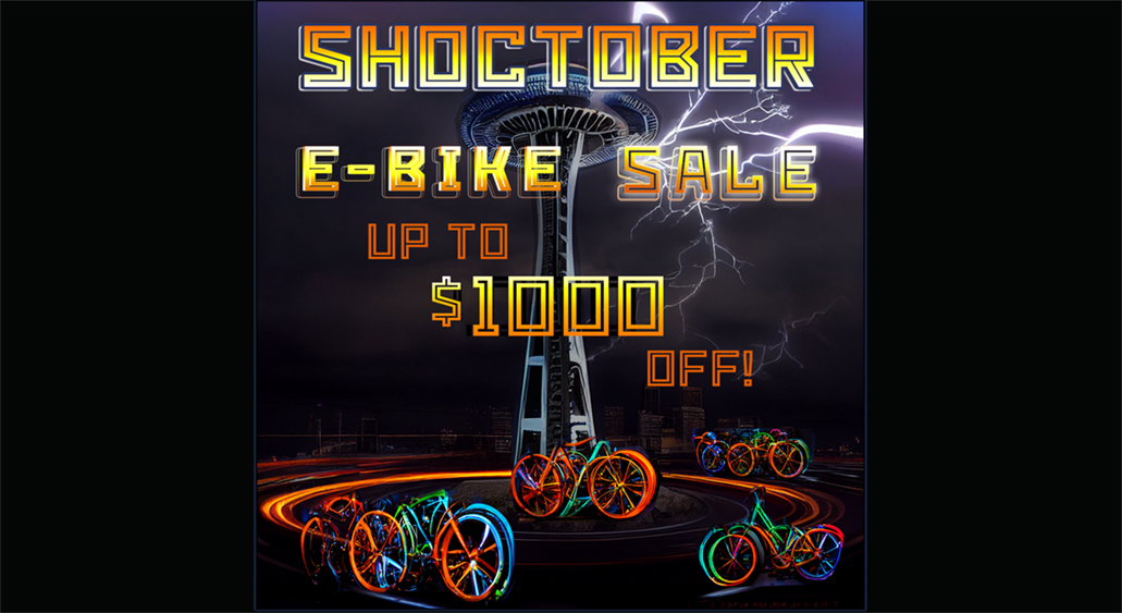 Seattle Electric Bike Bellingham, Bothell & Seattle, WA