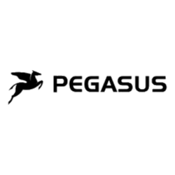 Pegasus Bikes logo