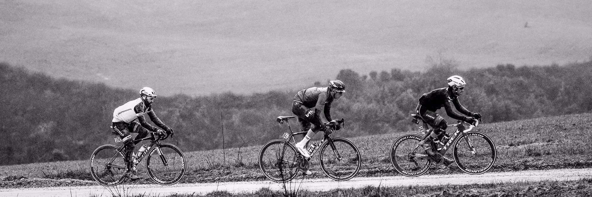 Three road cyclists