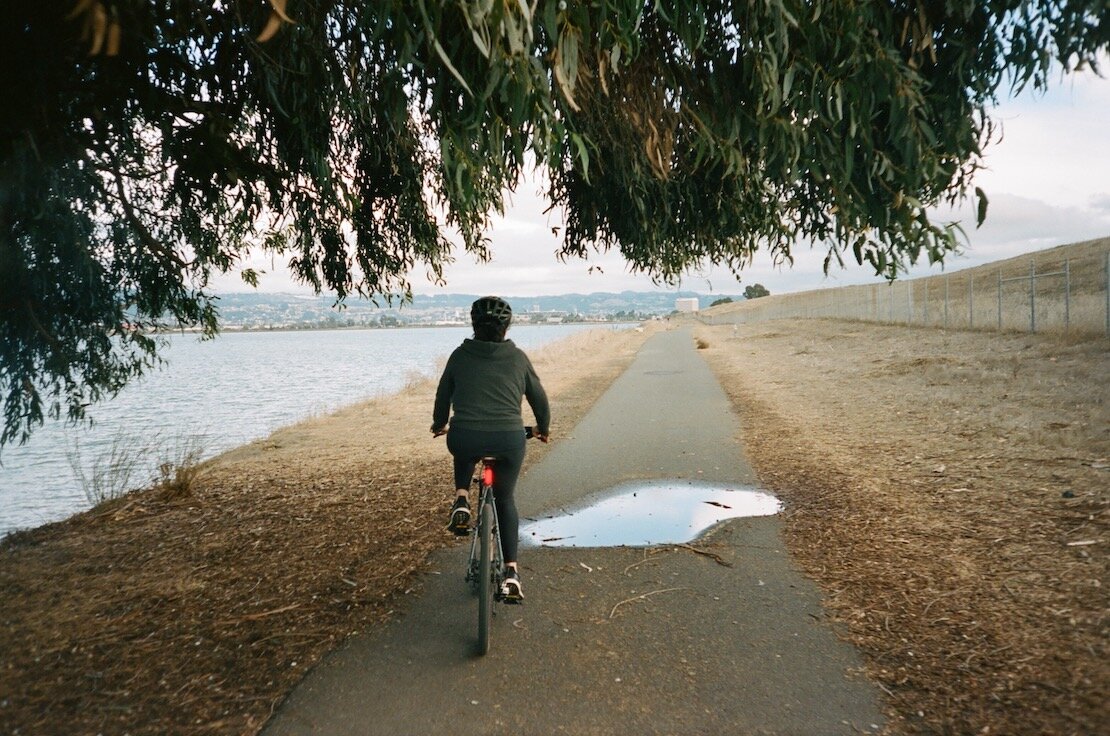 Local Family & Casual Rides Alameda Bicycle Alameda, CA