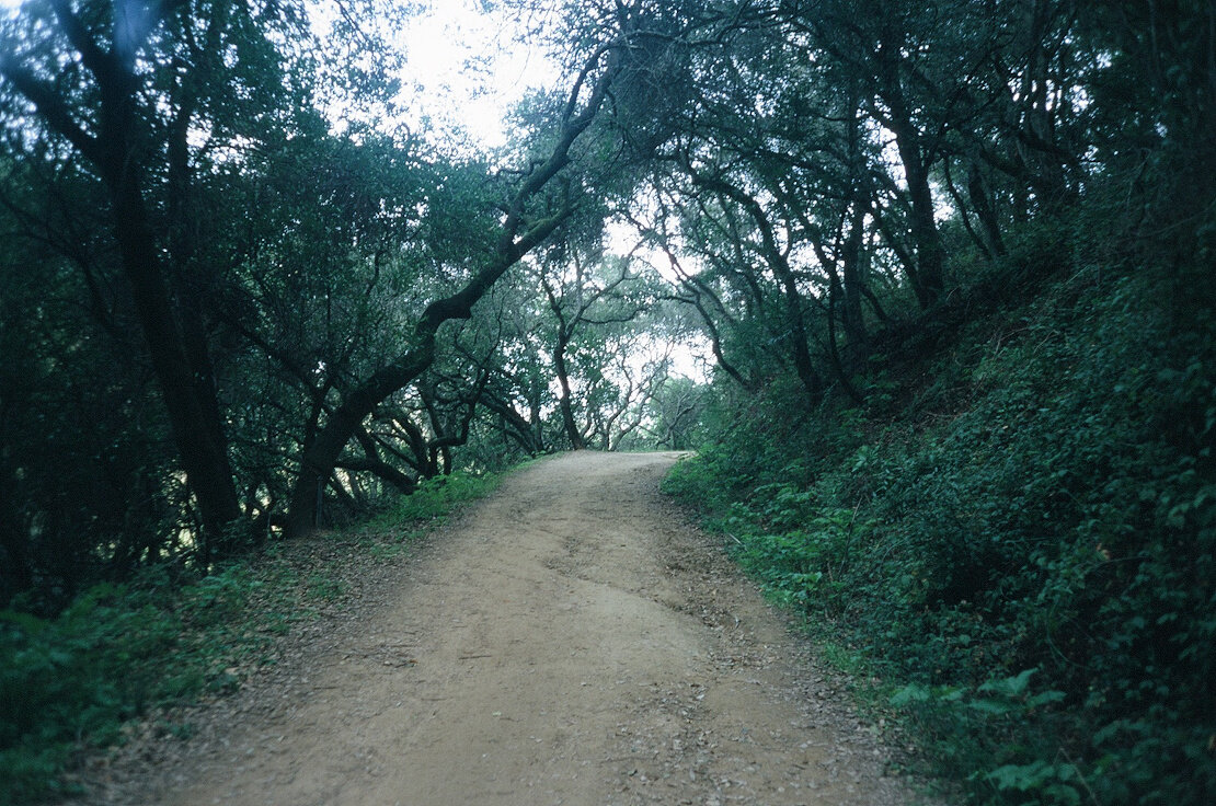 Anthony Chabot Regional Park