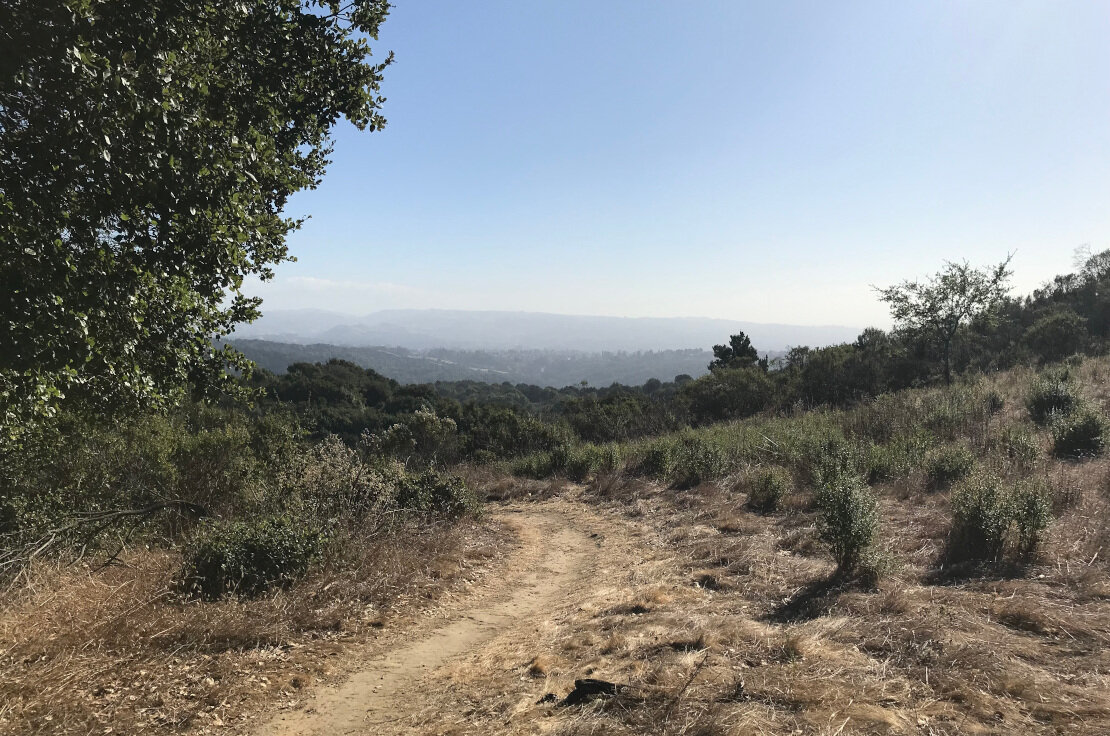 Looking out from Brandon Trail