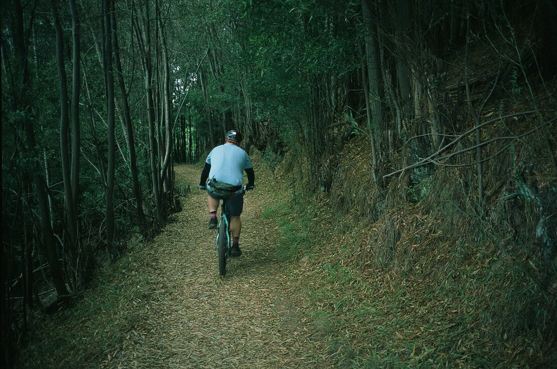 Sequoia Bayview Trail, Joaquin Miller Park