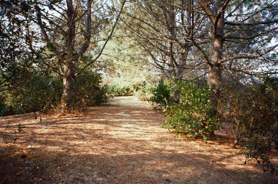 Oyster Bay Regional Park