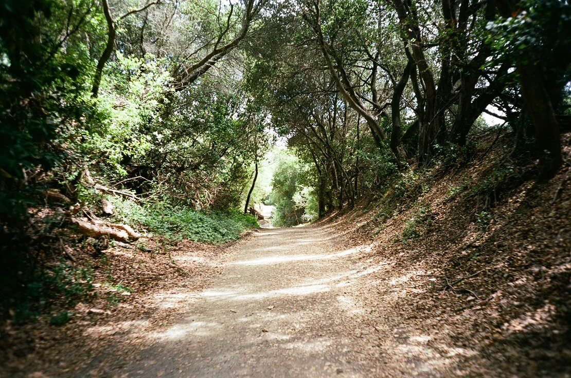 Wildcat Creek Trail