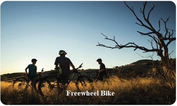 Freewheel Bike Gift Card 