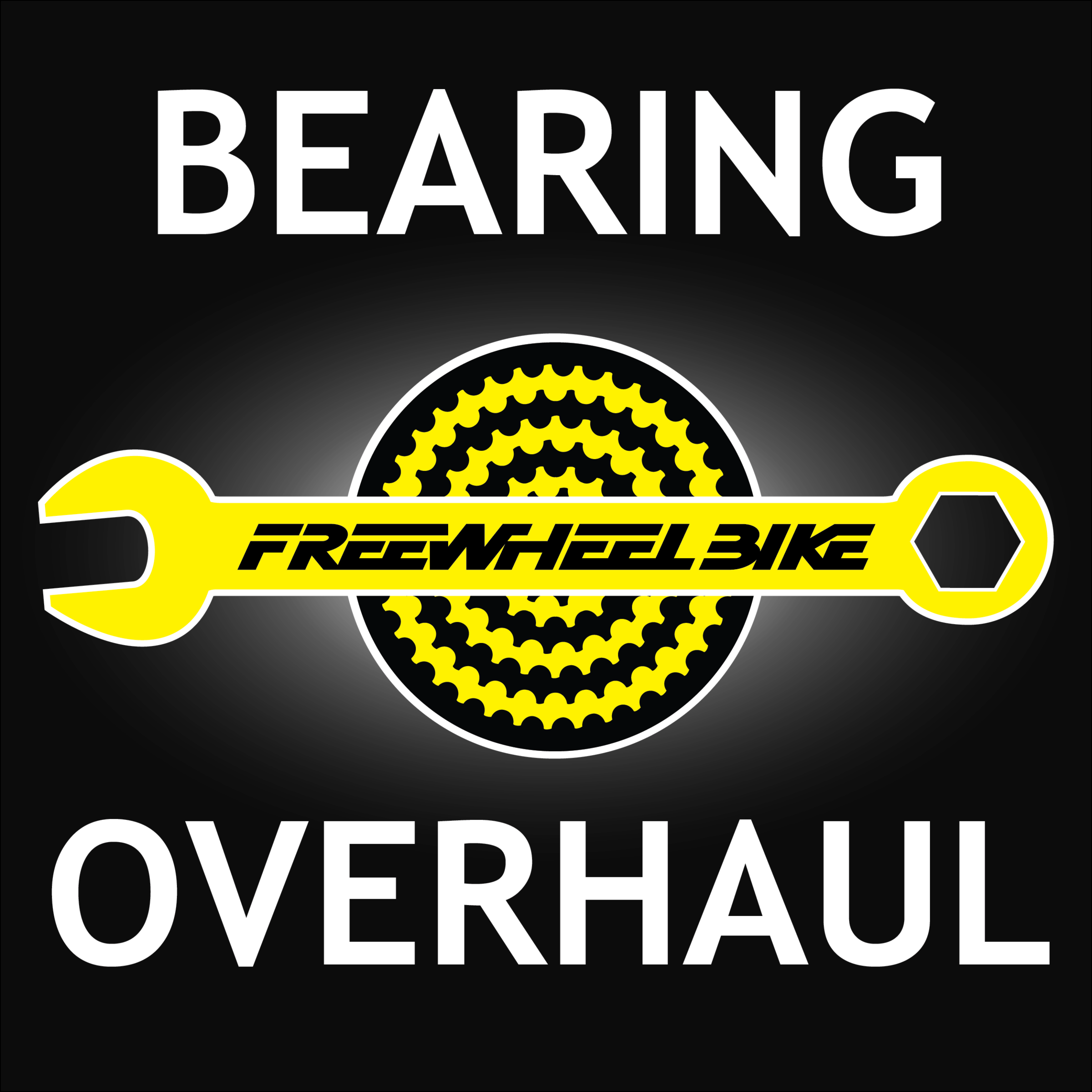 Bearing Overhaul Class Freewheel Bike Shop Minneapolis Twin