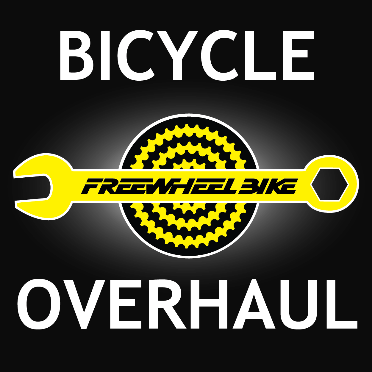 Bicycle Overhaul Class Freewheel Bike Shop Minneapolis Twin