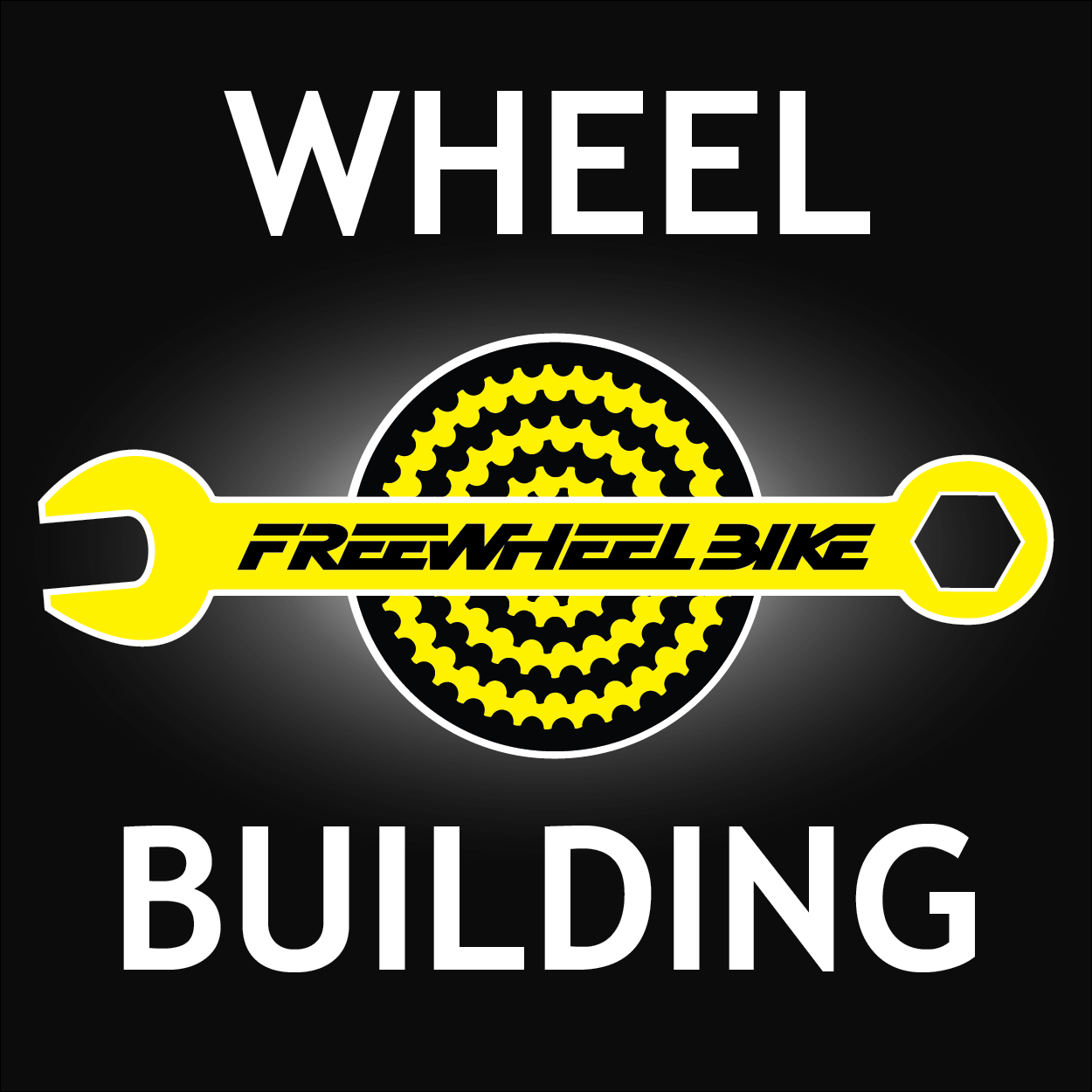 Wheel Building Class Freewheel Bike Shop Minneapolis Twin Cities St. Paul