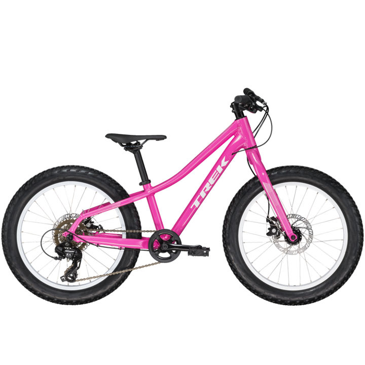 Trek Roscoe Kids' 20 - Freewheel Bike Shop - Minneapolis - Twin