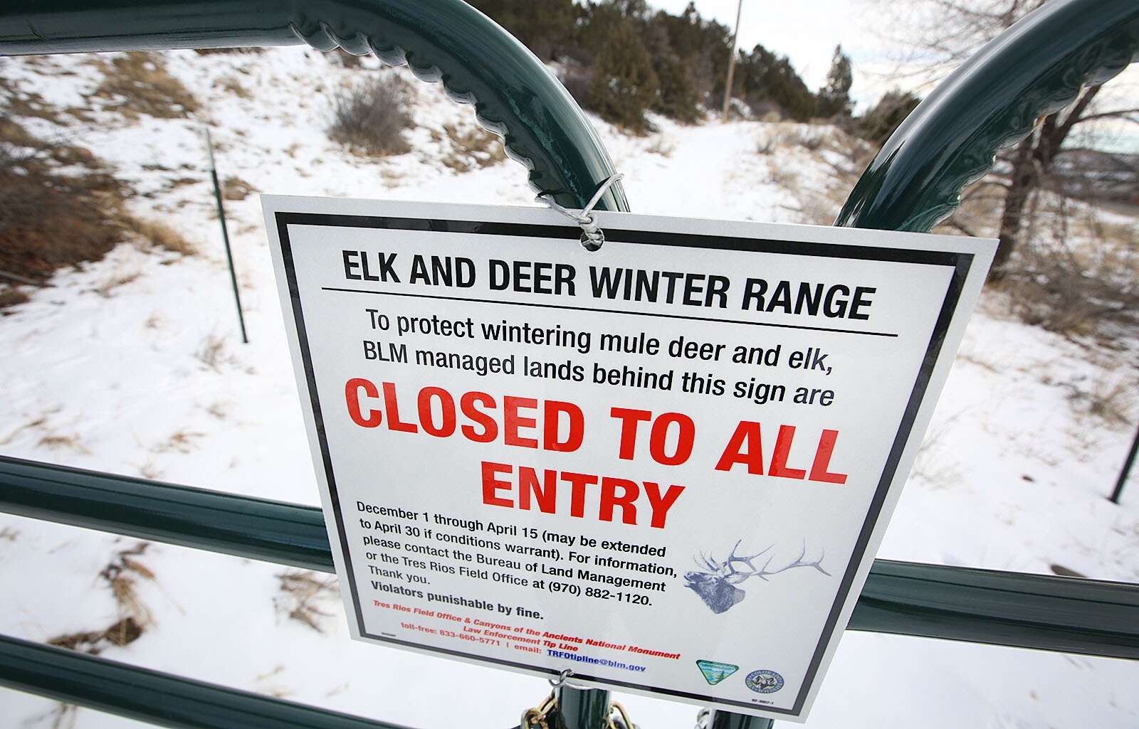 Mountain Bike Specialists Durango, CO