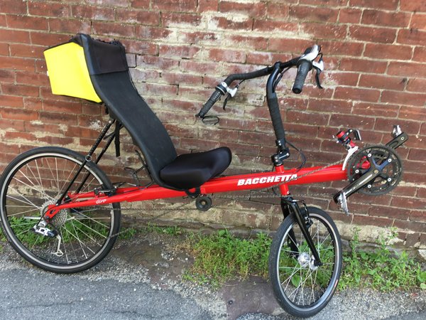 bacchetta recumbent bike