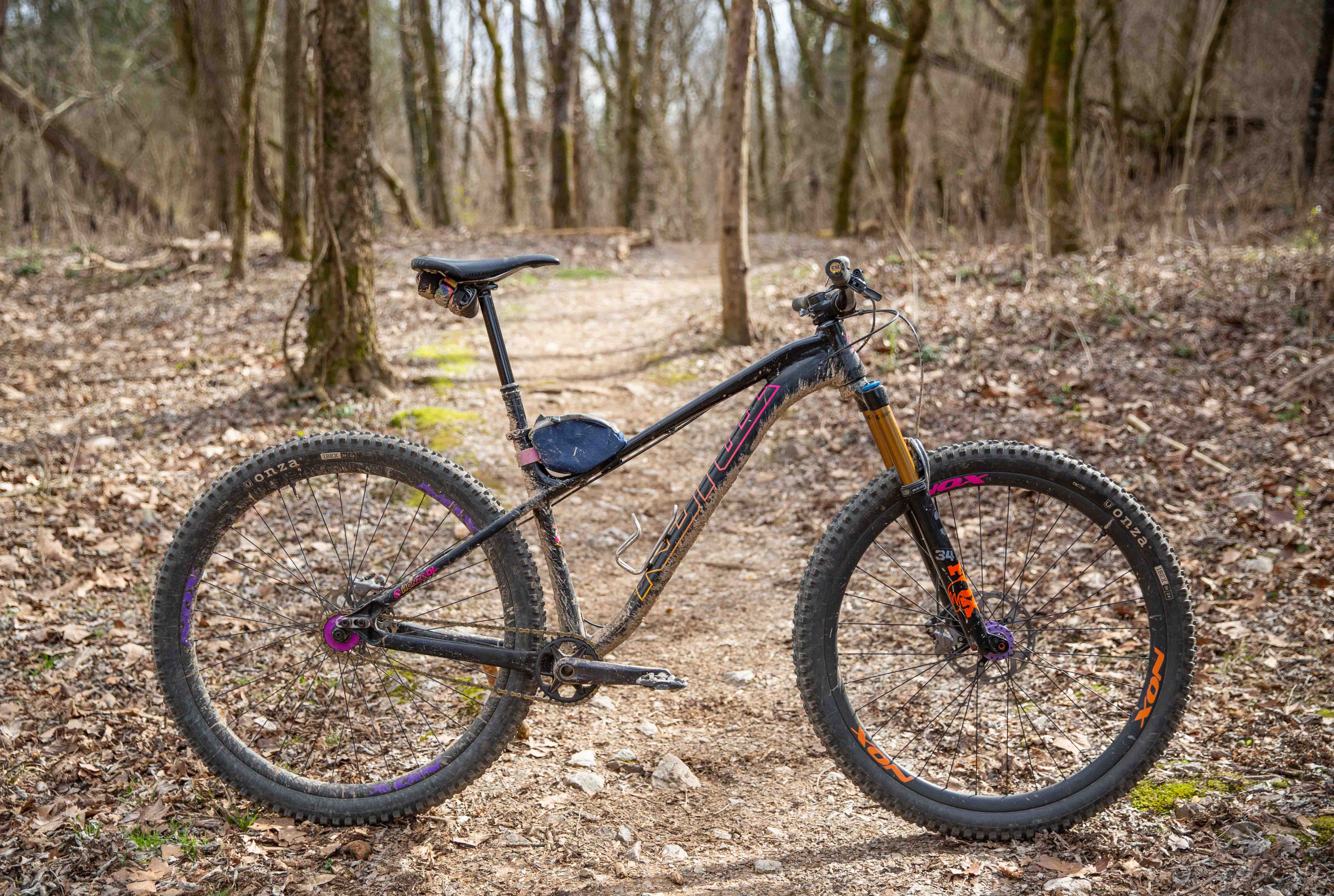 Scott's Bikes Tennessee Valley Bicycles, Knoxville, TN