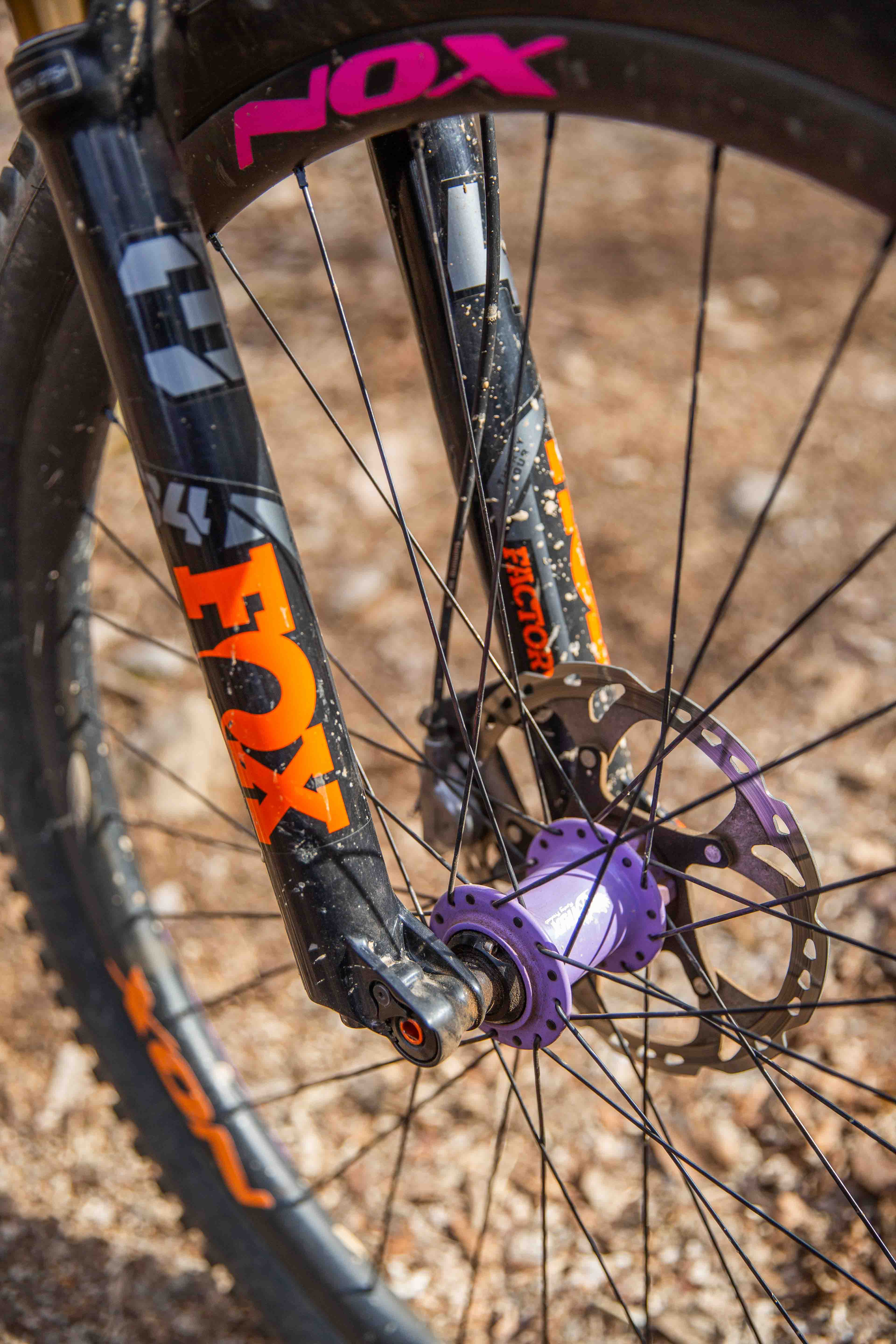Scott's Bikes Tennessee Valley Bicycles, Knoxville, TN