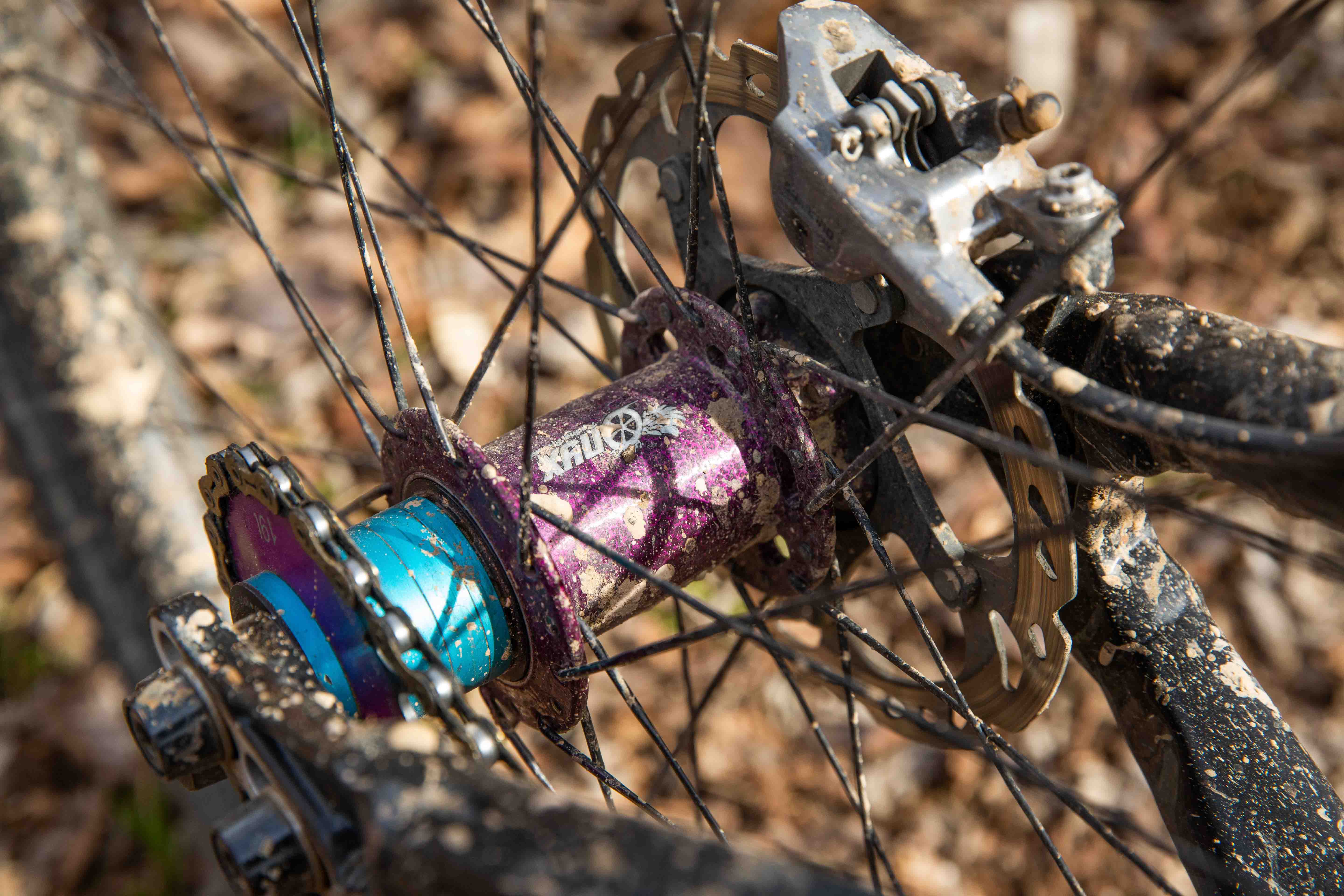 Scott's Bikes Tennessee Valley Bicycles, Knoxville, TN