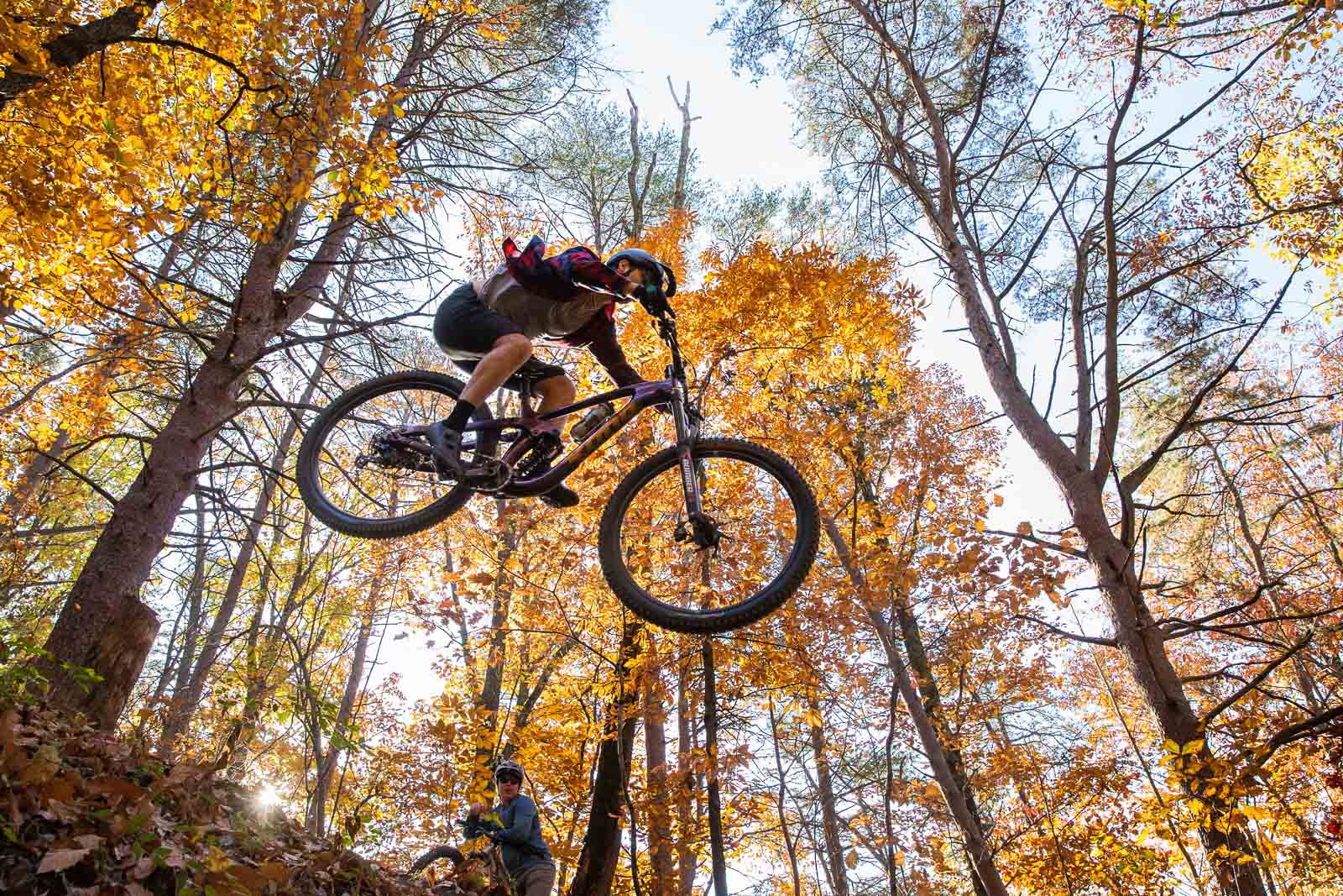 Colin's Bikes Tennessee Valley Bicycles, Knoxville, TN