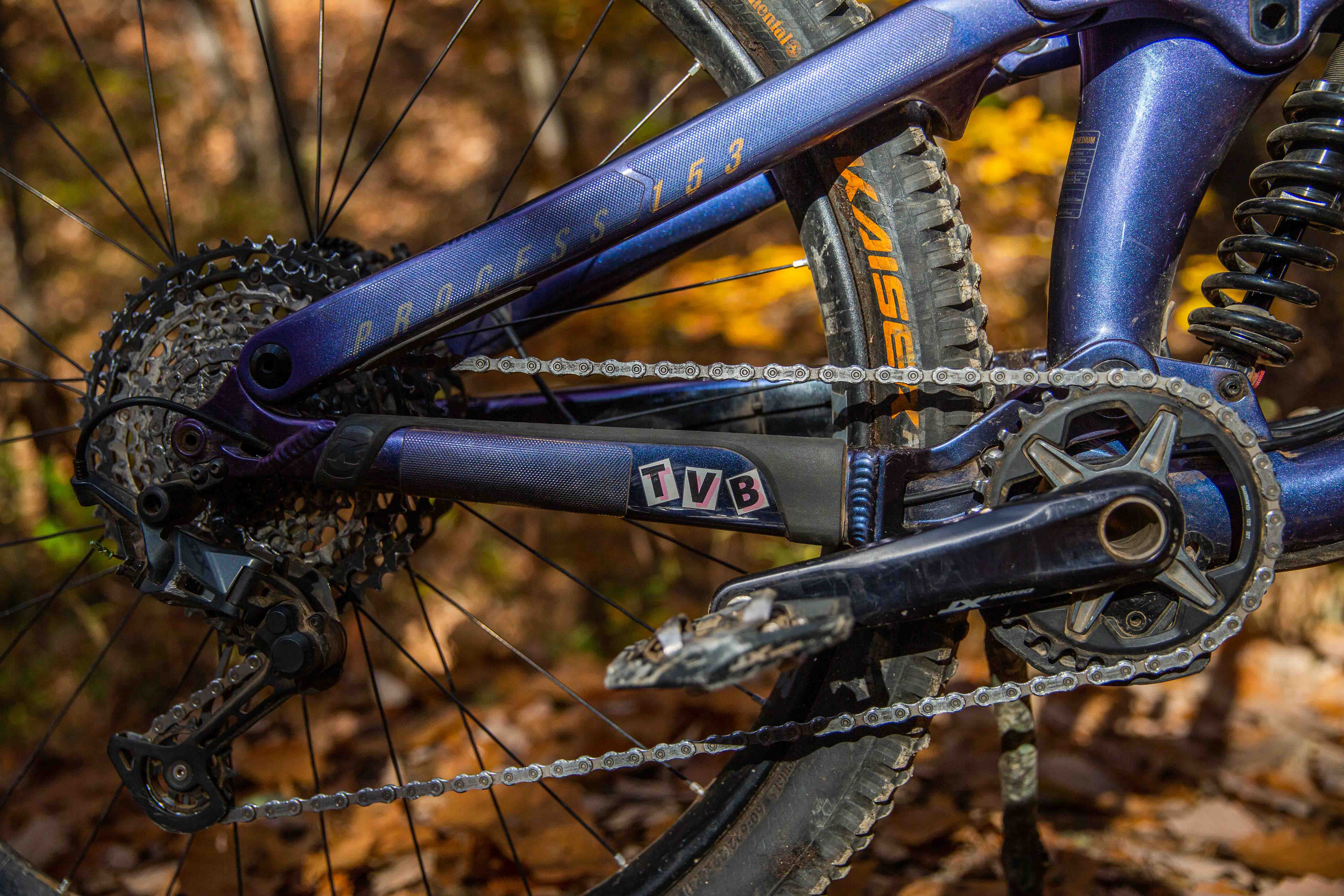 Colin's Bikes Tennessee Valley Bicycles, Knoxville, TN