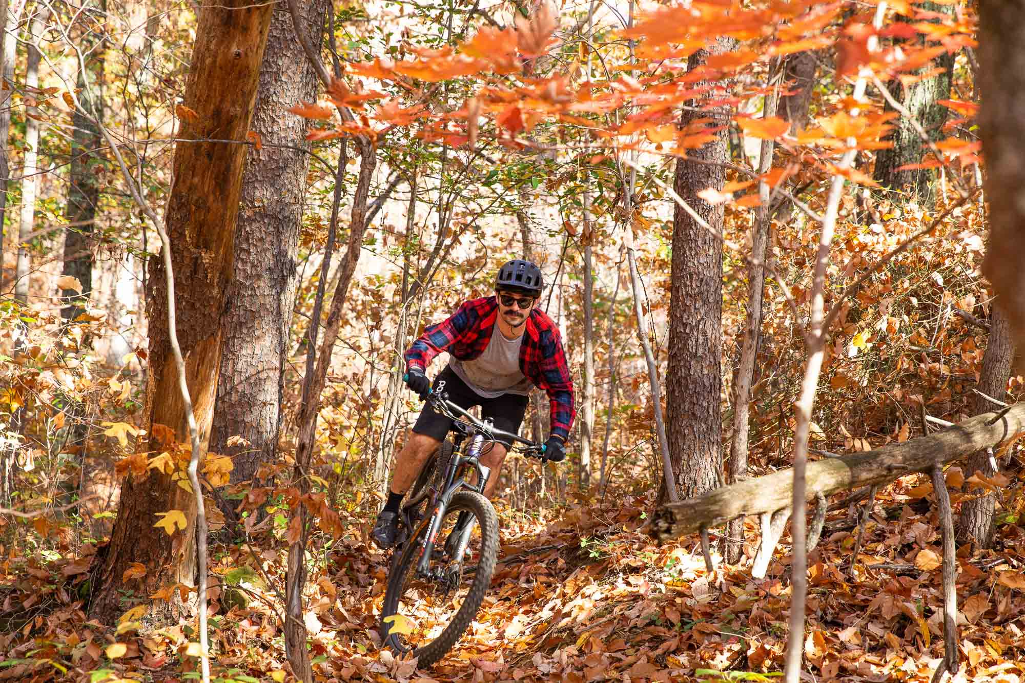 Colin's Bikes Tennessee Valley Bicycles, Knoxville, TN