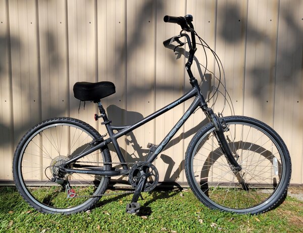 Bisesi's Bicycle & Fitness Giant Suede