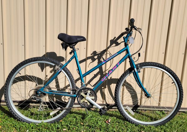 Bisesi's Bicycle & Fitness Rincon W