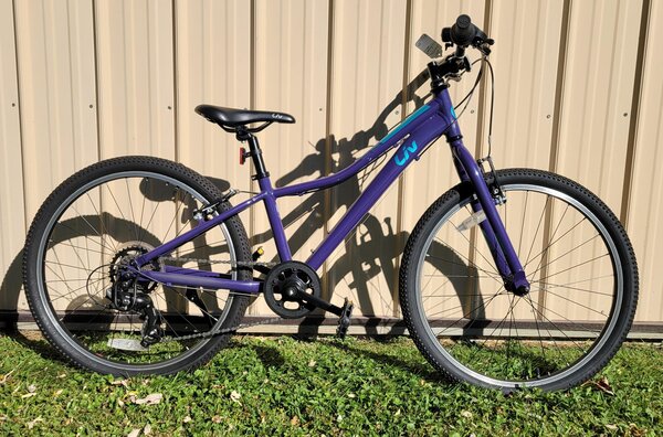 Bisesi's Bicycle & Fitness Enchant 24