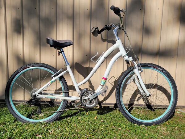 Bisesi's Bicycle & Fitness Giant Suede