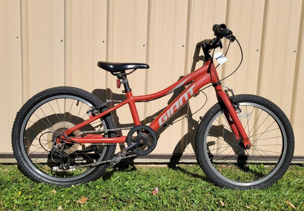 Bisesi's Bicycle & Fitness Giant XTC Jr Lite