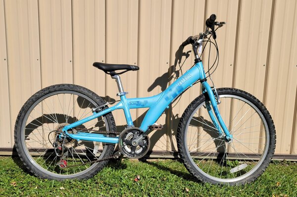 Bisesi's Bicycle & Fitness Giant MTX 225