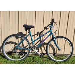 Bisesi's Bicycle & Fitness Rincon W