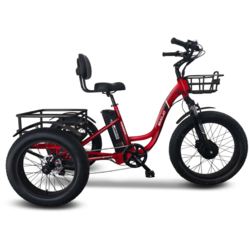 Emojo Bike CADDY PRO ELECTRIC TRIKE