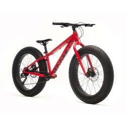 Moose Bicycles FAT MOOSE 24