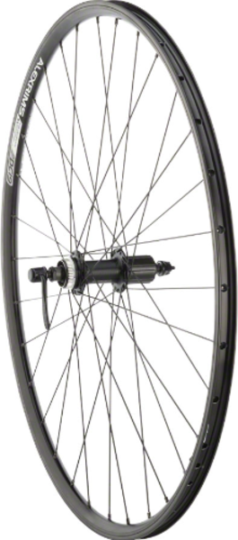 QBP Brand Quality Wheels Double Wall Series Rim+Disc Rear Wheel - 700, QR x 135mm, Center-Lock, HG 10, Black, Clincher