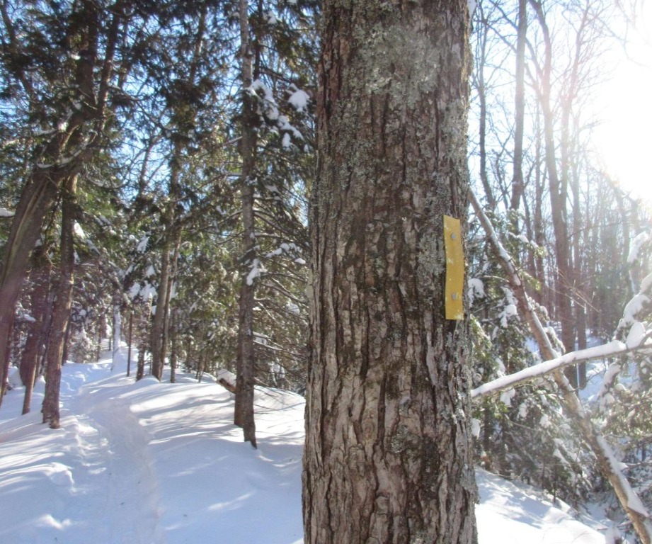 Hiawatha XC Ski Trails