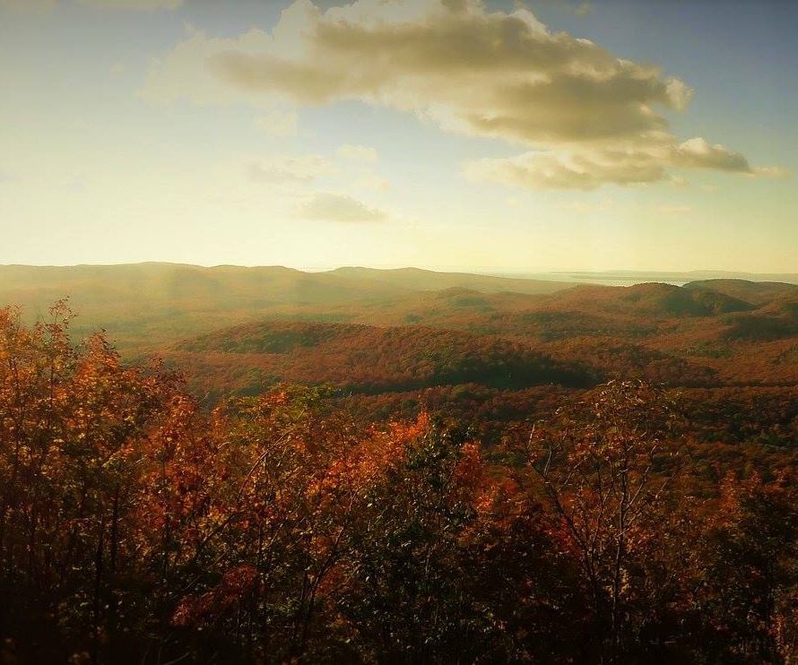 Stokely & Algoma Highlands