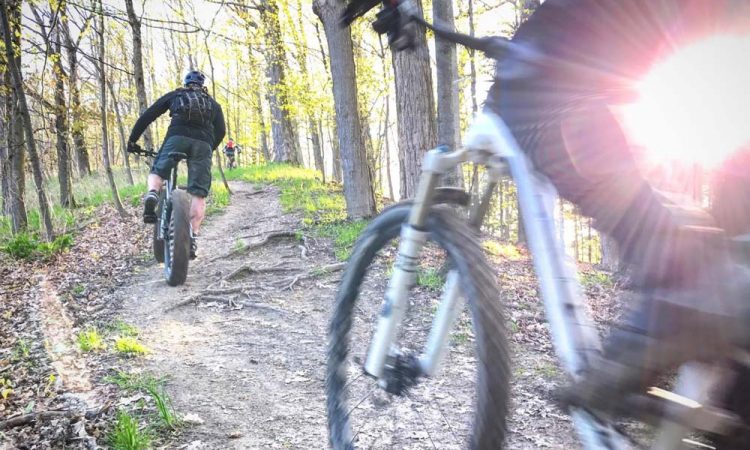 Freewheel MTB Rides