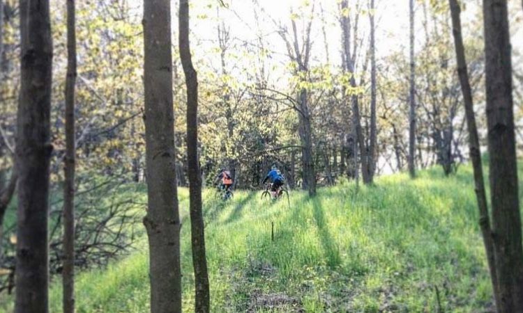 Freewheel MTB Rides