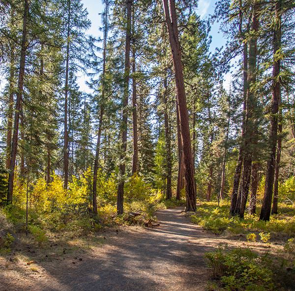 shevlin loop bike trail bend
