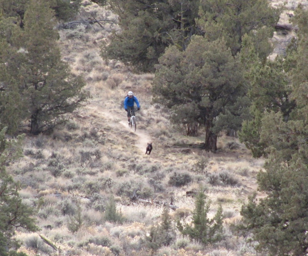 Local's Guide to Biking in Bend, OR Sunnyside Sports Bend, OR Sunnyside Sports