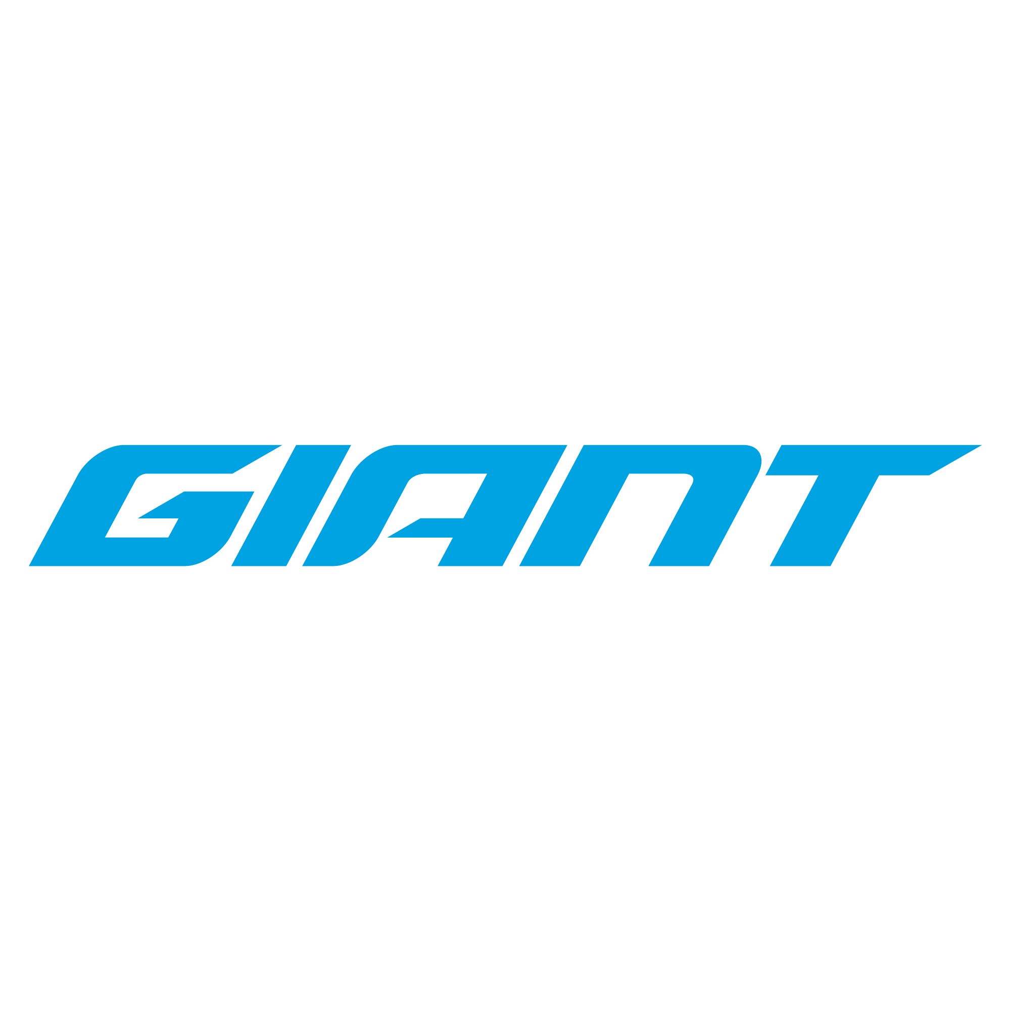 Giant Bikes