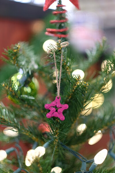 Great Northern Bicycle Company Bicycle Chain Star Ornament