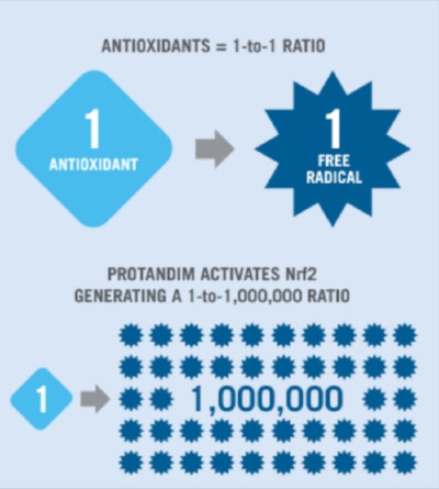 Antioxidants chart