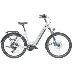 Bulls Bulls Iconic S