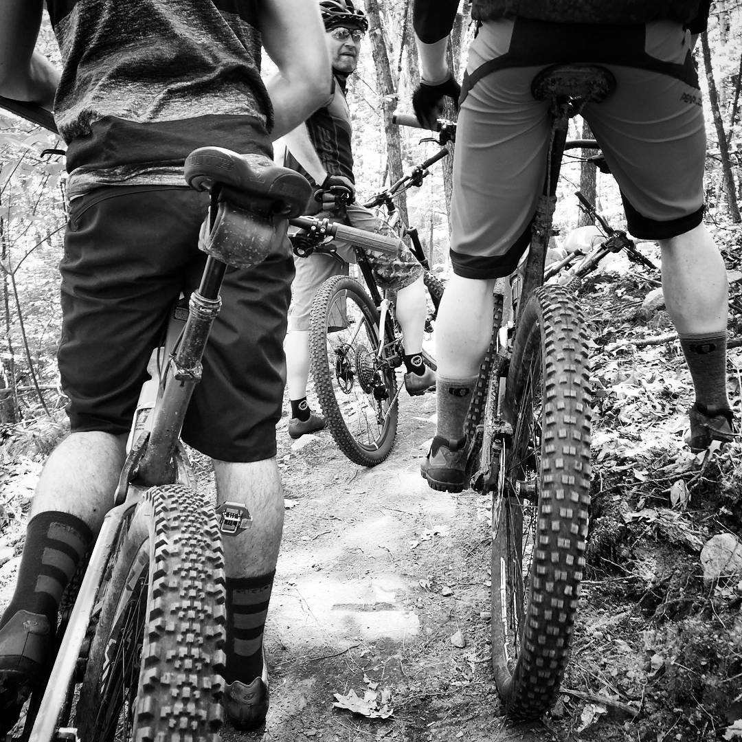 Mountain bike riders