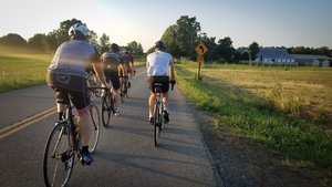 Four cyclists on a road