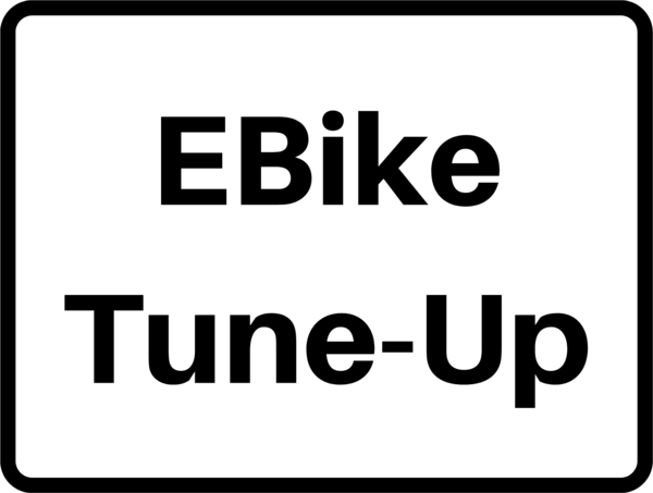 SloHi Bike Co. EBike Tune-Up (Winter Special)