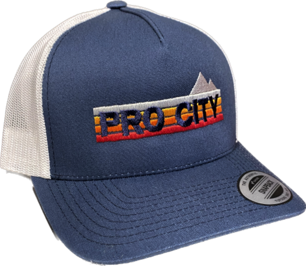 Pro city Pro City Flex Fit Hat