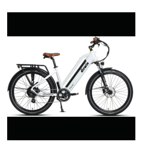 Store-Branded Dirwin Pacer Commuter E