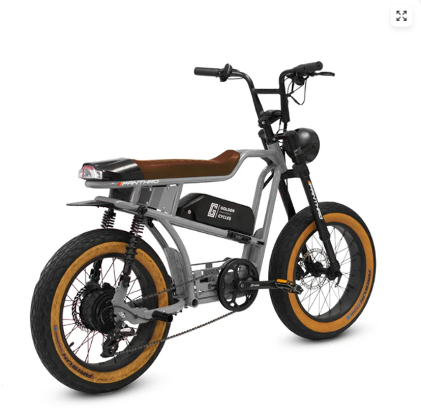 Golden Cycles Panthro