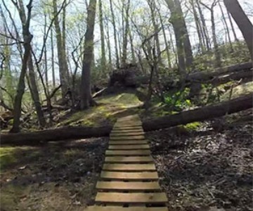 Wood obstacle on a mountain bike trail