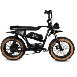 Golden Cycles Panthro